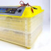Инкубатор автоматический HHD 112 на 112 яиц 220/12 В с регулятором влажности