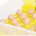 Інкубатор автоматичний HHD 112 на 112 яєць 220/12 В з регулятором вологості